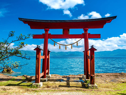 Japan: Homestay & Service Adventure