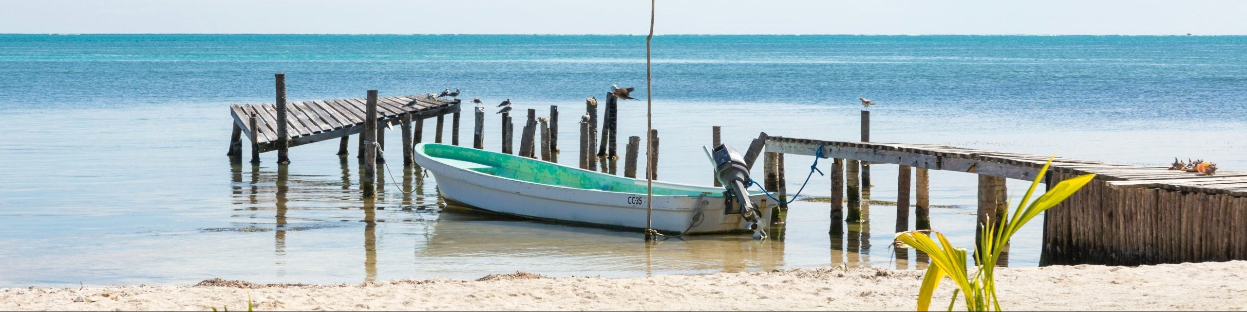 Belize: Caribbean Reefs & Mayan Culture (Spring Break)