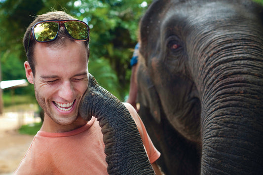 Thai Elephant Conservation Project