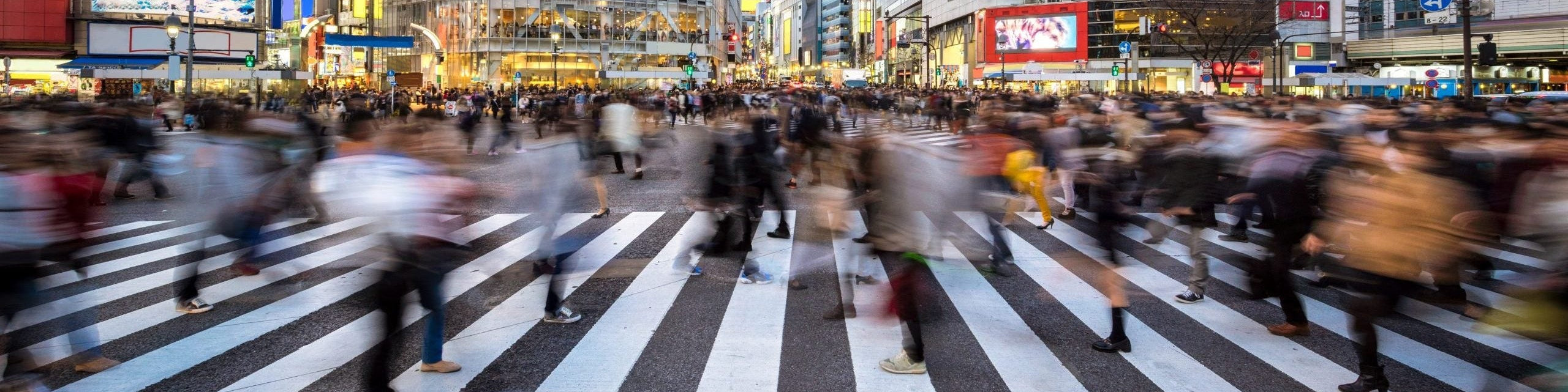 Japan: Tokyo Fusion (College)